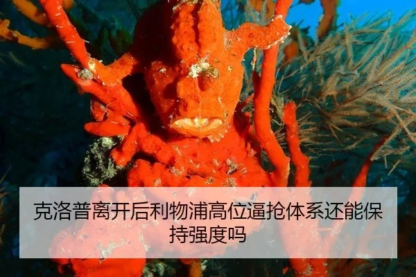 ke-luo-pu-li-kai-hou-li-wu-pu-gao-wei-bi-qiang-ti-xi-hai-neng-bao-chi-qiang-du-ma-3-483.jpg